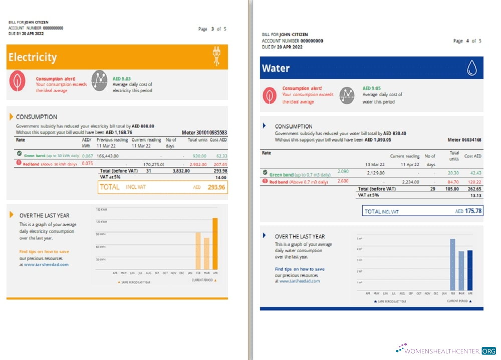Angola LNG proof of address utility bill template in Word and PDF format